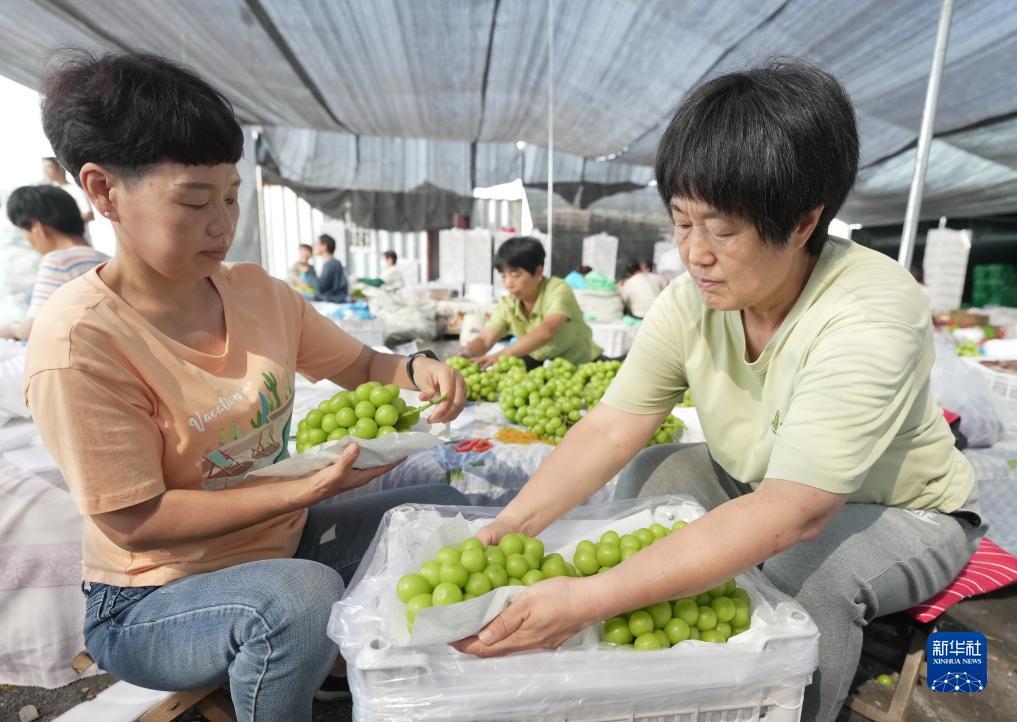 捕鱼游戏定制开发公司